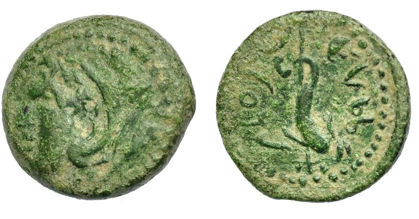 1392   -  HISPANIA ANTIGUA. GADIR. Cuarto. A/ Cabeza de Melkart a izq. con clava al hombro. R/ Delfín con tridente a izq.; p´lt/hgdr. AE 3,3 g. 17,3 mm. I-1355. ACIP-681. Pátina verde. BC+/MBC-. 