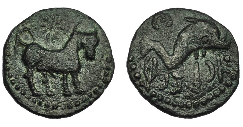 1045   -  HISPANIA ANTIGUA. ASIDO. Semis. A/ Toro a der., encima estrella. R/ Delfín a der., encima creciente con punto, delante caduceo, debajo ´sdnbl. AE 6,83 g. 23,4 mm. I-158. ACIP-914. Pátina verde oscura. MBC/MBC+. Ex Vico, 3-3-1993, lote 35.