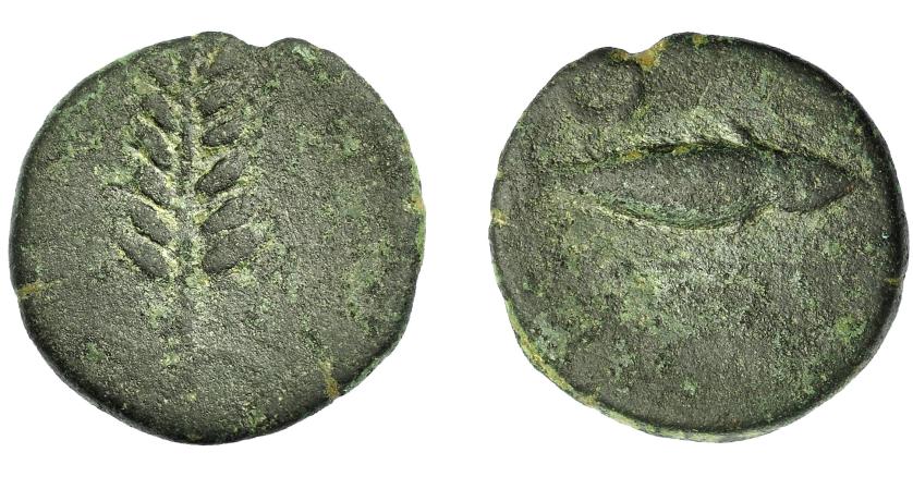 1465   -  HISPANIA ANTIGUA. ILIPA. Cuadrante. A/ Espiga. R/ Arado. AE 3,2 g. 15,35 mm. I-1547. ACIP-2344. Pátina verde rugosa. BC. Ex Pliego, 19-5-2001.