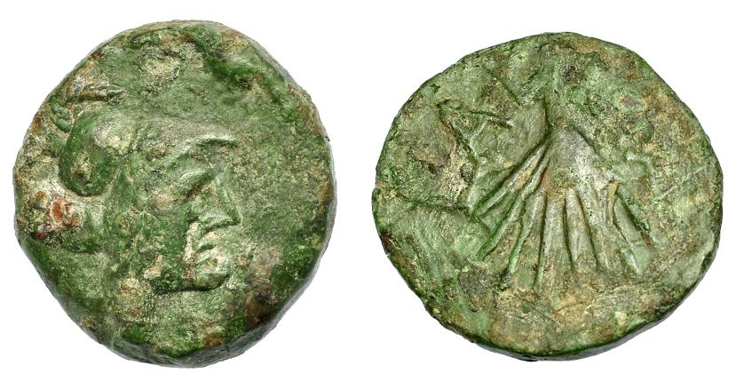 1508   -  HISPANIA ANTIGUA. LAELIA. Semis. A/ Cabeza con casco a der. R/ Palma; LAELIA. AE5,66 g. 19,51 mm. I-1651. ACIP-2362. Pátina verde. BC+/MBC-. Muy escasa.