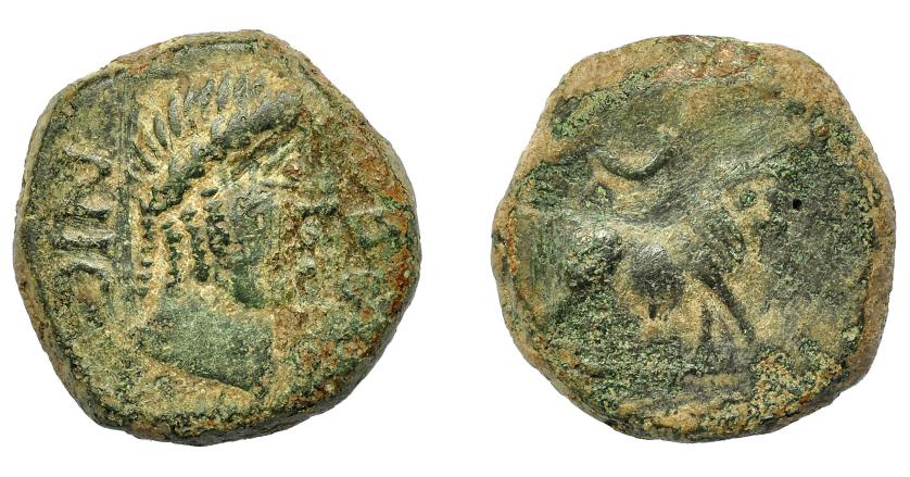 1578 - HISPANIA ANTIGUA. OBULCO. Semis. A/ Cabeza de Apolo a der.; OBVL-NIG. R/ Toro a der., encima creciente. AE 7,65 g. 20,65 mm. I-1832. ACIP-2262. Pátina verde. Bc+/RC. Rara.