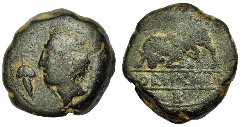 1603 - HISPANIA ANTIGUA. ORIPO. As. A/ Cabeza masculina a izq., delante racimo de uvas. R/ Toro embistiendo a izq., encima creciente (no visible), debajo entre líneas ORIPENSE y debajo B. AE 27,97 g. 30,03 mm. I-1899. ACIP-2458. Pátina oscura. BC+/BC. Muy rara.