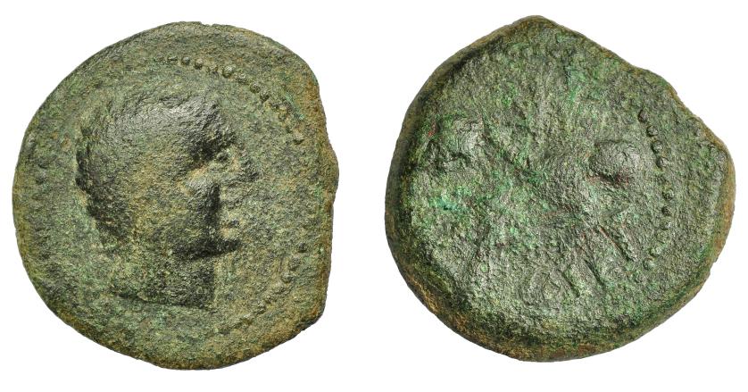 1624   -  HISPANIA ANTIGUA. OSET. As. A/ Cabeza masculina a der. R/ Figura masculina a izq. con racimo de uvas, detrás OSET. AE 16,63 g. 30,88 mm. I-1947. ACIP-2463. Pátina verde. BC/BC-. Rara.