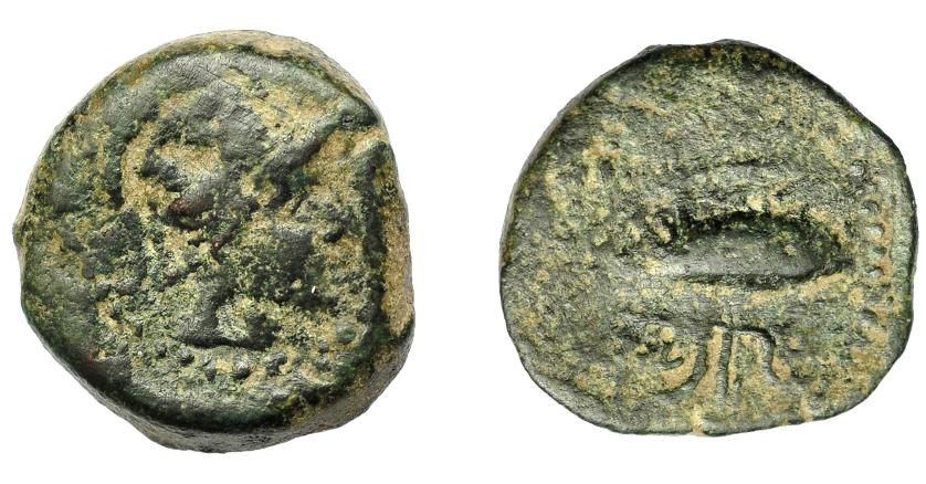 1744 - HISPANIA ANTIGUA. SEKS. Mitad. A/ Cabeza con casco a der. R/ Atún a der., encima aleph y debajo sks. AE 5,86 g. 18,58 mm. I-2242. ACIP-826. Pátina verde oscuro. BC+/BC. Muy rara. Ex Áureo, 24-1-2001, lote 344.