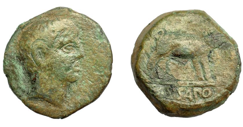 1748 - HISPANIA ANTIGUA. SISAPO. As. A/ Cabeza masculina a der. R/ Jabalí a der., bajo línea SISAPO. AE 16,8 g. 28,47 mm. I-2253. ACIP-2442. Campos repasados. BC. Rara. Ex Pliego, 5-12-2001.