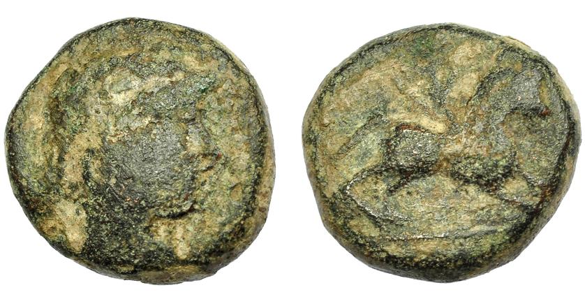 1751 - HISPANIA ANTIGUA. ¿SISAPO? Unidad. A/ Cabeza masculina a der. R/ Caballo a der., por detrás palma; bajo línea ley. fenicia no legible. AE 8,03 g. 18,16 mm. I-no. ACIP-904 (incierta). Pátina verde. BC-. Rarísima.