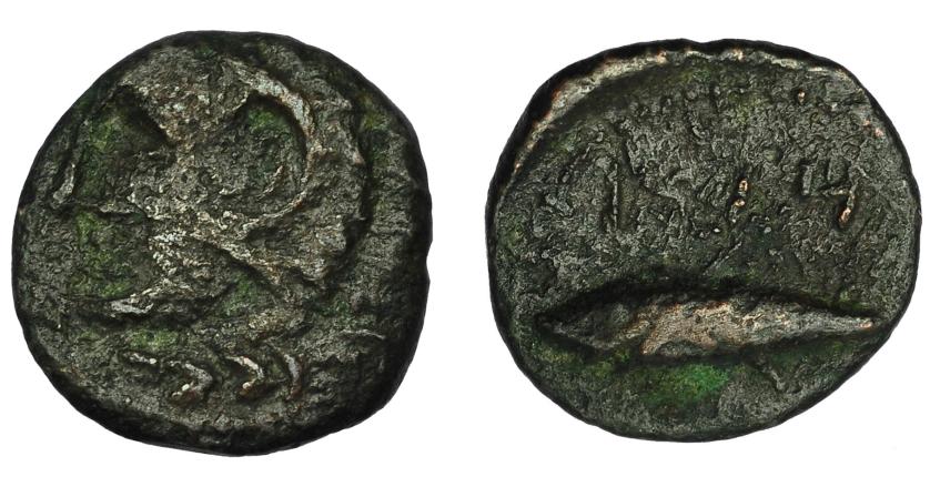 29   -  HISPANIA ANTIGUA. GADIR. Mitad o cuarto. A/ Cabeza de Melkart a izq. R/ Atún a izq., encima m`pl/ (´gdr). AE 1,53 g. 14,9 mm.  I-1346. ACIP-692. Pátina oscura. BC+. Escasa.