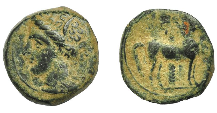 85   -  GRECIA ANTIGUA. ZEUGITANIA. Cartago. 1/2 calco (S. IV - III a.C.). A/ Cabeza de Tanit a izq. R/ Caballo a der., detrás, palmera. AE 2,68 g. 15,6 mm. COP-109-113. SBG-6444. MBC-.