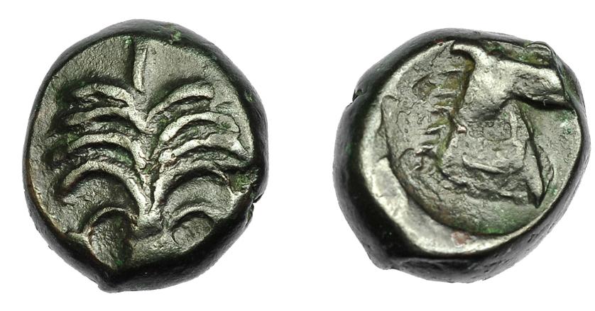 88   -  GRECIA ANTIGUA. ZEUGITANIA. Cartago. AE (350-320 a.C.). A/ Palmera con dos racimos de dátiles. R/ Cabeza de caballo a der. AE 5,56 g. 15,74 mm. COP-105. MBC-.