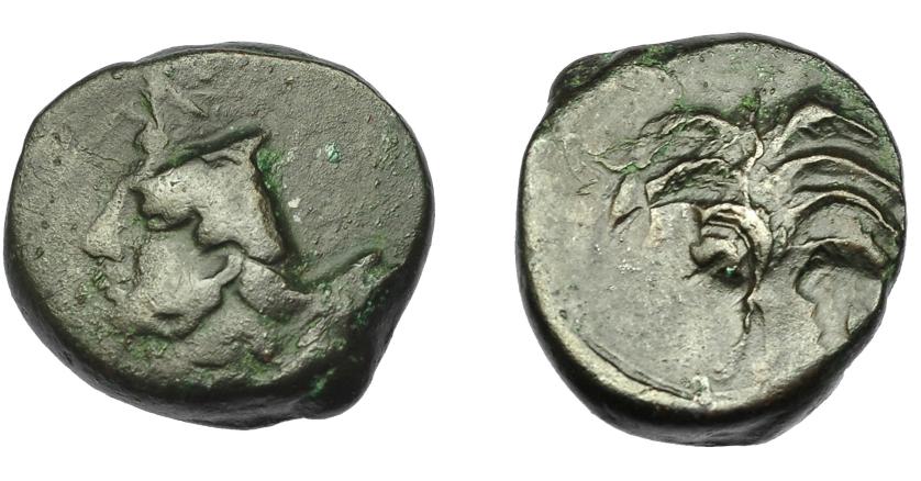 89   -  GRECIA ANTIGUA. ZEUGITANIA. Cartago. AE (350-320 a.C.). A/ Palmera con dos racimos de dátiles. R/ Doble acuñación con cabeza de caballo a der. y Tanit a izq. AE 4,83 g. 17,17 mm. COP-105 vte. BC+/MBC-.