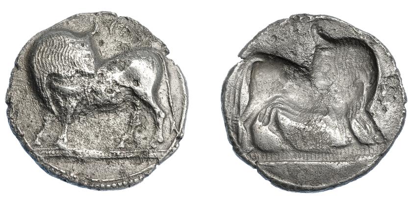 222   -  GRECIA ANTIGUA. LUCANIA. Síbaris. Estátera (560-510 a.C.). A/ Toro a izq. con cabeza vuelta, encima SU invertida. R/ Incuso. AR 7,54 g. 26,46 mm. COP-1390. SBG-245 vte. Erosiones. MBC-. Rara. Ex Guadán 1444.