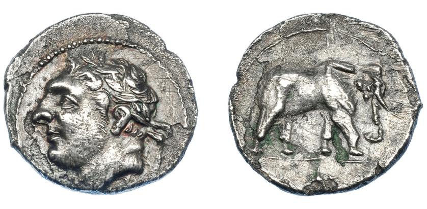 240   -  GRECIA ANTIGUA. SICILIA. Emisiones sículo-púnicas. 1/2 shekel (213-210 a.C.). A/ Cabeza laureada a izq. R/ Elefante avanzando a der., en exergo aleph. AR 3,19 g. 18,3 mm. COP-383. SBG-6577. Hojas. MBC+. Muy escasa. Ex Guadán 3044. 