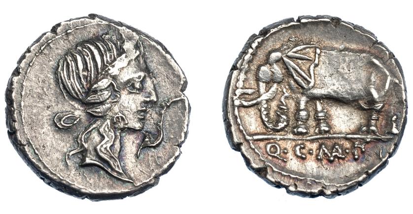 340   -  REPÚBLICA ROMANA. CAECILIA. Denario. Italia (81 a.C.). A/ Cabeza de Pietas a der., delante cigüeña. R/ Elefante a izq., en exergo Q C M P I. AR 3,51 g. 17,7 mm. CRAW-374.1. FFC-213. Pequeño vano. EBC-. 