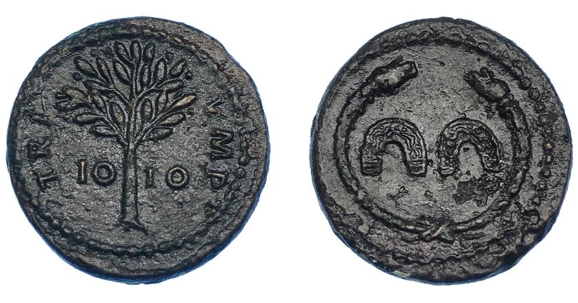 390   -  IMPERIO ROMANO. DOMICIANO. Cuadrante o tésera. Roma (81-96 d.C.). A/ Dos herraduras dentro de torques rematado en cabezas de serpiente. R/ Árbol, en campo IO-IO; TRI IMP. AE 2,61 g.  17,8 mm. MBC+. Pátina verde oscuro con pequeñas erosiones. Rara.