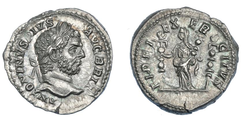 437   -  IMPERIO ROMANO. CARACALLA. Denario. Roma (210-213). A/ Cabeza laureada a der.; ANTONINVS PIVS AVG BRIT. R/ Fides a izq. con estandarte y aquila; FIDEI EXERCITVS. AR 3,44 g. 19,1 mm. RIC-213. EBC+.