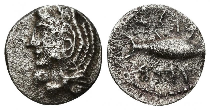 3038   -  HISPANIA ANTIGUA. GADIR. Hemidracma. A/ Cabeza de Melkart con leonté a izq. R/ Atún a der.; encima y debajo ley. fenicia mp'l/'gdr. AR 1,49 g. 12,7 mm. I-1308. ACIP-634. Porosidades. MBC.