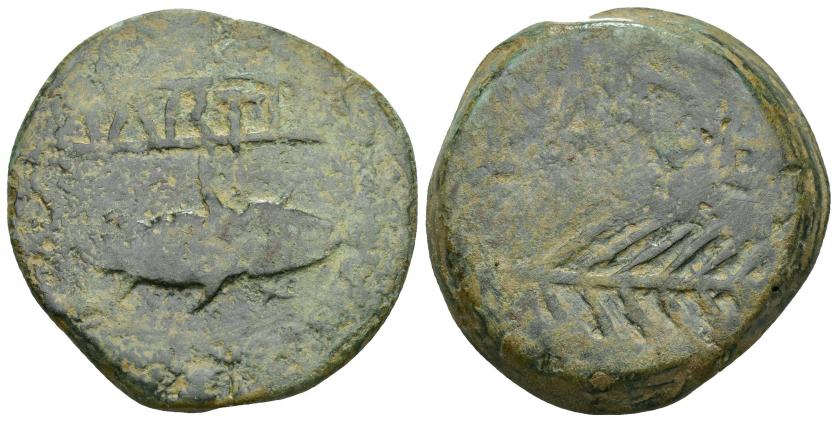 104   -  HISPANIA ANTIGUA. MURTILIS. As. A/ Sábalo a der., encima entre líneas MVRTI(L). R/ Espiga a der., encima (L AP). DE. AE 36,39 g. 36,37 mm. I-1757 vte. ACIP-2355. Pátina verde rugosa. BC+. Muy rara. Compra privada Pliego (1993).