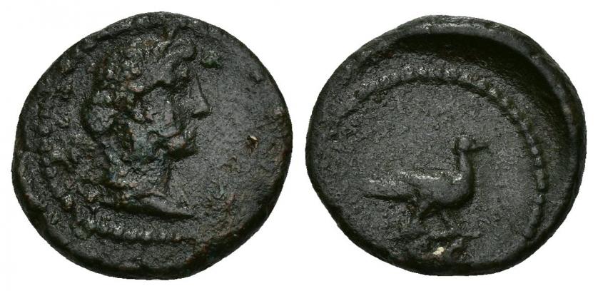 3179   -  IMPERIO ROMANO. PERIODO DE DOMICIANO A ANTONINO PÍO. Cuadrante. Roma (81-161 d.C.). A/ Cabeza de Venus a der. R/ Paloma a der., exergo SC. AE 2,87 g. 15,85 mm. RIC-24. Rev. descentrado. Erosiones. BC+.