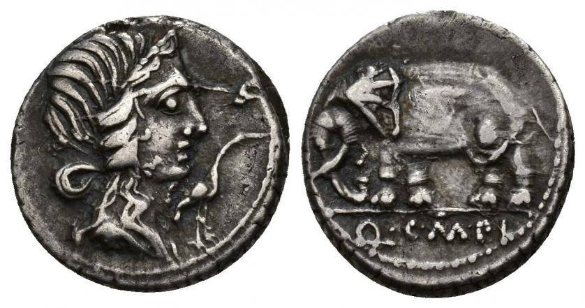261   -  REPÚBLICA ROMANA. CAECILIA. Q. Caecilus Metellus Pius. Denario. Roma (81 a.C.). A/ Cabeza de Pietas a der., delante cigüeña. R/ Elefante a izq.; en exergo Q C M P I. AR 3,63 g. 17,61 mm. CRAW-374.1. FFC-213. Rebaba en anv. MBC.