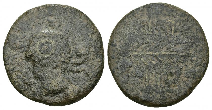 30   -  HISPANIA ANTIGUA. ARSA. Unidad. A/ Cabeza masculina a izq., alrededor (A).R(SA). R/ Palma, ley. libio-fenicia poco visible. AE 9,48 g. 26,6 mm. I-131. ACIP-910. Superficies rugosas. BC. Muy rara. Ex subasta Áureo, 22-10-1997, lote 224 (colección Tartessos).