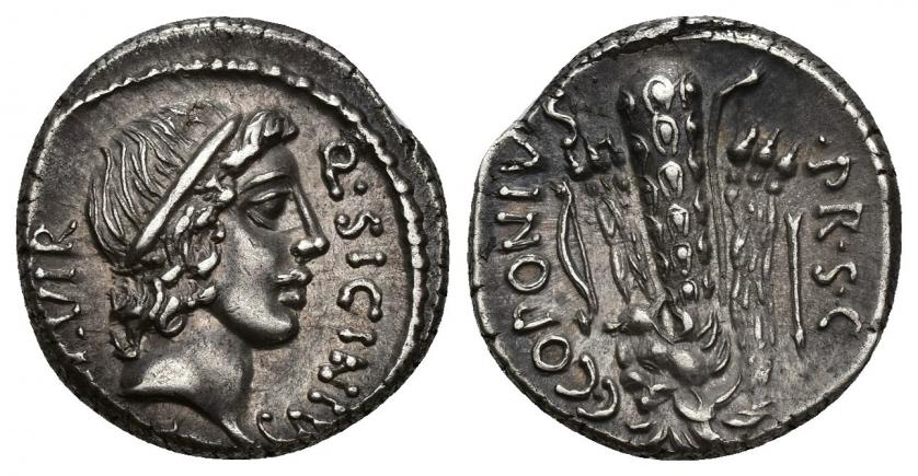333   -  REPÚBLICA ROMANA. SICINIA. Q. Sicinius y C. Coponius. Denario. Roma (49 a.C.). A/ Cabeza de Apolo a der., debajo estrella; Q SICINIVS III VIR. R/ Clava con leonté, a los lados arco y flecha; C COPONIVS PR S C. AR 3,97 g. 17,37 mm. CRAW-444.1a. FFC-1126. EBC-/EBC. Ex subasta Ttriton VIII, lote 933.