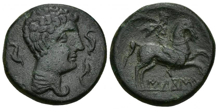 94   -  HISPANIA ANTIGUA. ILTUKOITE. Unidad. A/ Cabeza masculina con cuello vestido a der., alrededor tres delfines. R/ Jinete con palma a der., debajo sobre línea ILTuKoITe. AE 17,05 g. 28,7 mm. I-1428. ACIP-1502. Pátina oscura. MBC+/MBC. Escasa.