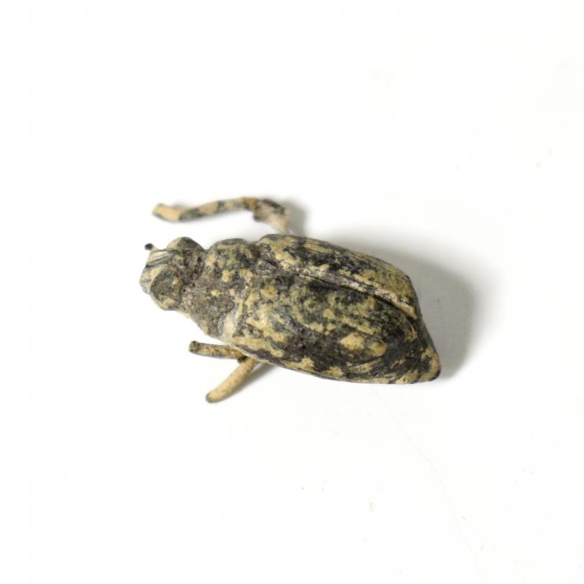 2089   -  EDAD MODERNA. Figura en forma de escarabajo (ss. XVII-XVIII d.C.). Le faltan la mitad de las patas. Bronce. Longitud 2 cm.