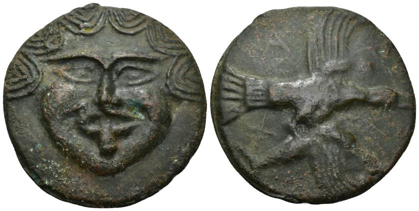 35   -  GRECIA ANTIGUA. ESCITIA. Olbia. Aes Grave (437-410 a.C.). A/ Cabeza de Gorgona. R/ Águila volando a der. con delfín entre las garras. A-P-I-X. SNG BM Mar Negro 383. SBG-1682. AE 130,22 g. 68,8 mm. Leves oxidaciones. MBC+. Compra privada Dmitry Markov (2018).