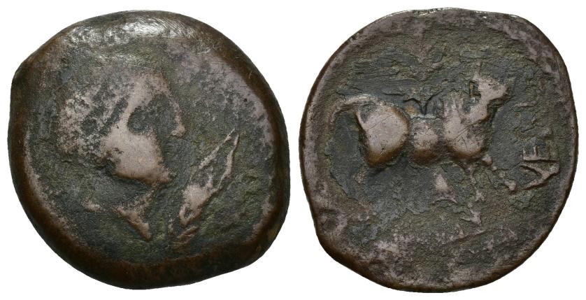 197   -  HISPANIA ANTIGUA. VESCI. As. A/ Cabeza masculina diademada a der., delante espiga. R/ Toro a der., detrás árbol, debajo whsin, delante VESCI. AE 10,21 g. 25,3 mm. I-2520. ACIP-964. BC+. Rarísima.