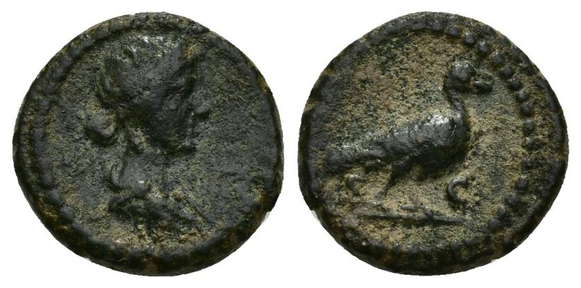 297   -  IMPERIO ROMANO. ANÓMIMO (periodo de Domiciano a Antonino Pío). Cuadrante. Roma (81-161). A/ Busto diademado y drapeado de Venus a der. R/ Paloma a der., S-C. AE 2,42 g. 14,3 mm. RIC-24. Pátina verde oscuro. MBC-. Muy rara.