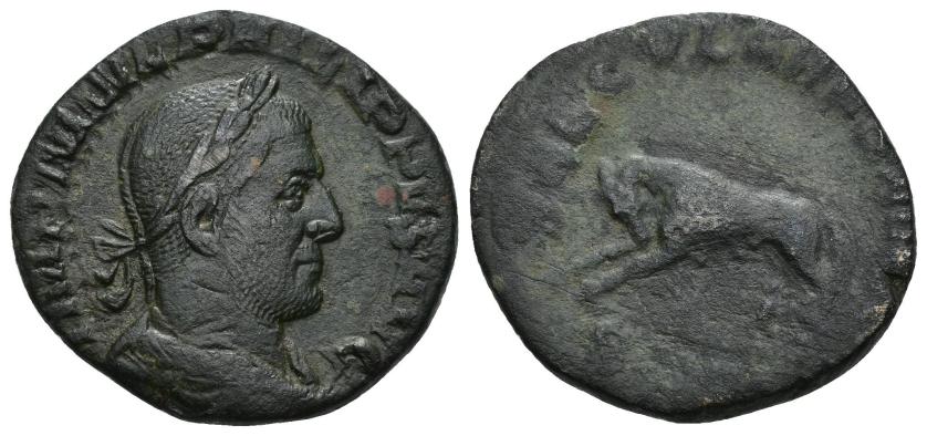 404   -  IMPERIO ROMANO. FILIPO I. Sestercio. Roma (248). A/ Busto laureado y drapeado a der.; IMP M IVL PHILIPPVS AVG. R/ Loba con los gemelos a izq.; SAECVLARES AV(GG), exergo SC. AE 13,06 g. 27,9 mm. RIC-159. Doble acuñación en anv. MBC/BC.