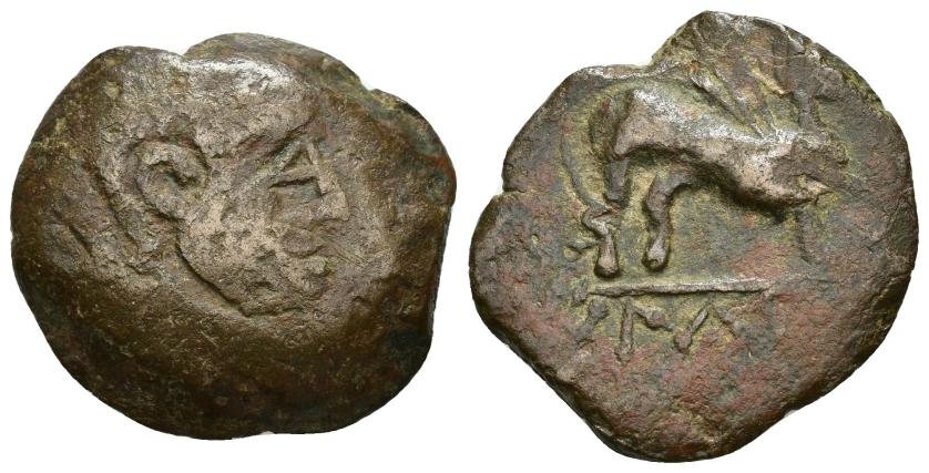 98   -  HISPANIA ANTIGUA. FLORENTIA-ILIBERRI. As. A/ Cabeza masculina a der. R/ Esfinge a der., exergo ILTuRIR. AE 16,71 g. 27,7 mm. I-1497. ACIP-2297. BC+/MBC-.