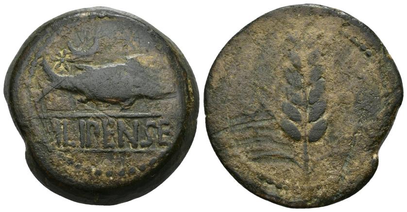 99   -  HISPANIA ANTIGUA. ILIPA. As de 10 monedas en libras. A/ Sábalo a der., encima creciente y dos estrellas, debajo entre líneas ILIPENSE. R/ Espiga entre dos caduceos. AE 33,51 g. 36,6 mm.  I-1530. ACIP-2332. Rayas. BC+. Rara.