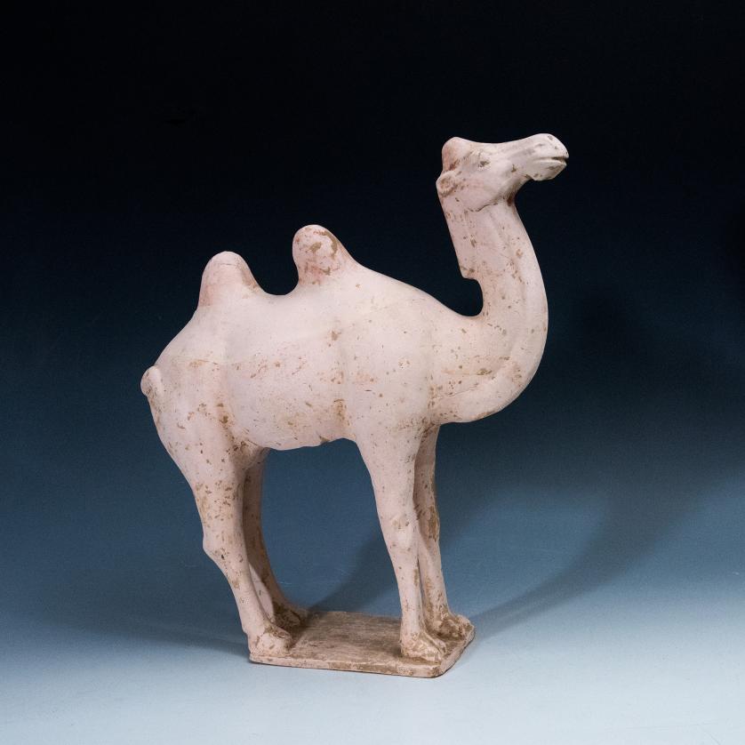 2078   -  ARQUEOLOGÍA. CHINA. Dinastía Tang. Figura de camello con base (618-907 d.C.). Terracota. Incluye prueba de termoluminiscencia QED. Altura 33,5 cm.