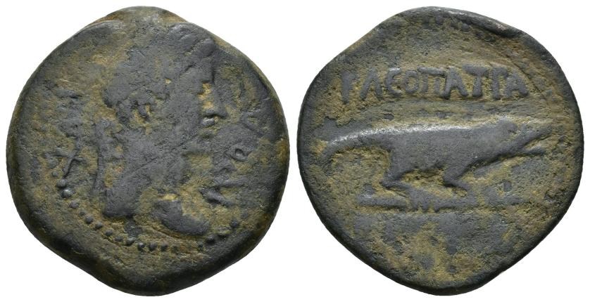 2132   -  COLECCIÓN CORES. REYES NÚMIDAS Y MAURETANOS. JUBA II CON CLEOPATRA. Unidad. A/ Cabeza diademada a der.; REX IVBA. R/ Cocodrilo a der., encima KLEOPATRA, debajo (BACILICCA). AE 22,73 g. 31,5 mm. COP-613; MAA-213; CC-5860, mismo ejemplar. Pátina oscura. BC-/BC+.