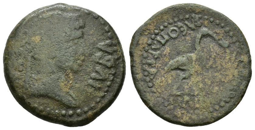 2138   -  COLECCIÓN CORES. REYES NÚMIDAS Y MAURETANOS. JUBA II CON CLEOPATRA. Mitad. A/ Busto diademado y drapeado a der.; (REX) ivba. R/ Ibis a der. atacando serpiente alada; KLEOPATRA, en exergo BACILICCA poco visible. AE 7,93 g. 26,5 mm. COP-614; MAA-217; CC-5889, mismo ejemplar. Vanos. BC-/BC+.