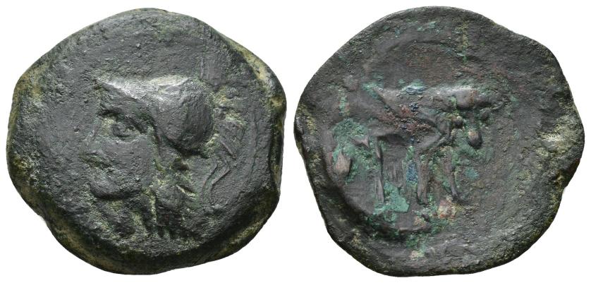 2164   -  COLECCIÓN CORES. ZEUGITANIA. ¿Doble shekel? Carthago (revuelta libia: 241-238 a.C.). A/ Cabeza de Atenea a izq.; (LIBUWN). R/ Toro a der., encima (m). AE 15,85 g. 28 mm. COP-245 var.; MAA-68 var.; CC-5934, mismo ejemplar. Pátina oscura. BC+/BC. Reacuñada.