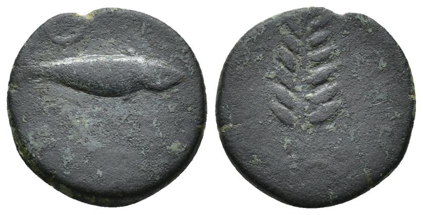 2289   -  HISPANIA ANTIGUA. ILIPA. Cuadrante. A/ Espiga. R/ Sábalo a der., detrás creciente, debajo entre líneas ¿tres puntos? AE 3,54 g. 18,57 mm. I-1546? ACIP-2339. Pátina oscura. BC. Rarísima. Ex Áureo, 20-9-1995, lote 354.