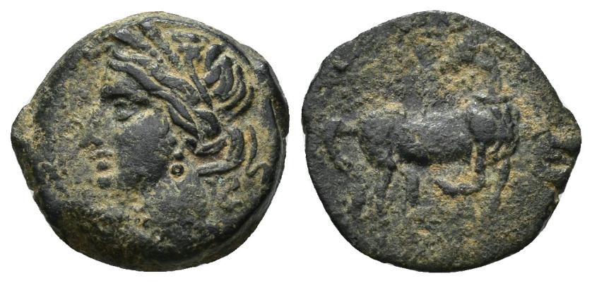 2048   -  COLECCIÓN CORES. CARTAGO (Fin. s. III-principios s. II a.C.). A/ Cabeza de Tanit a izq. R/ Caballo parado a der. con cabeza vuelta, pata delantera flexionada hacia atrás. AE 3,12 g. 17 mm. COP-397,398; CC-5458. Pátina oscura. MBC/MBC-. 