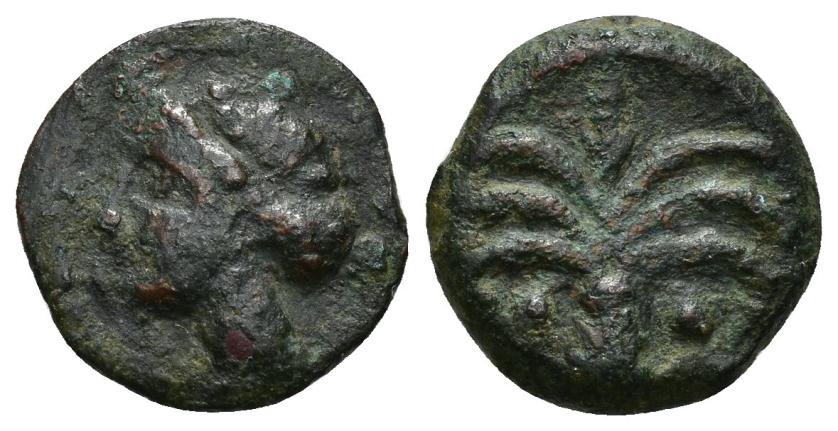 2050   -  COLECCIÓN CORES. CARTAGO (Fin. s. III-principios s. II a.C.). A/ Cabeza de Tanit a izq. R/ Palmera con frutos. AE 2,68 g. 21 mm. COP-415; CC-5461, mismo ejemplar. BC+/MBC. Rara.