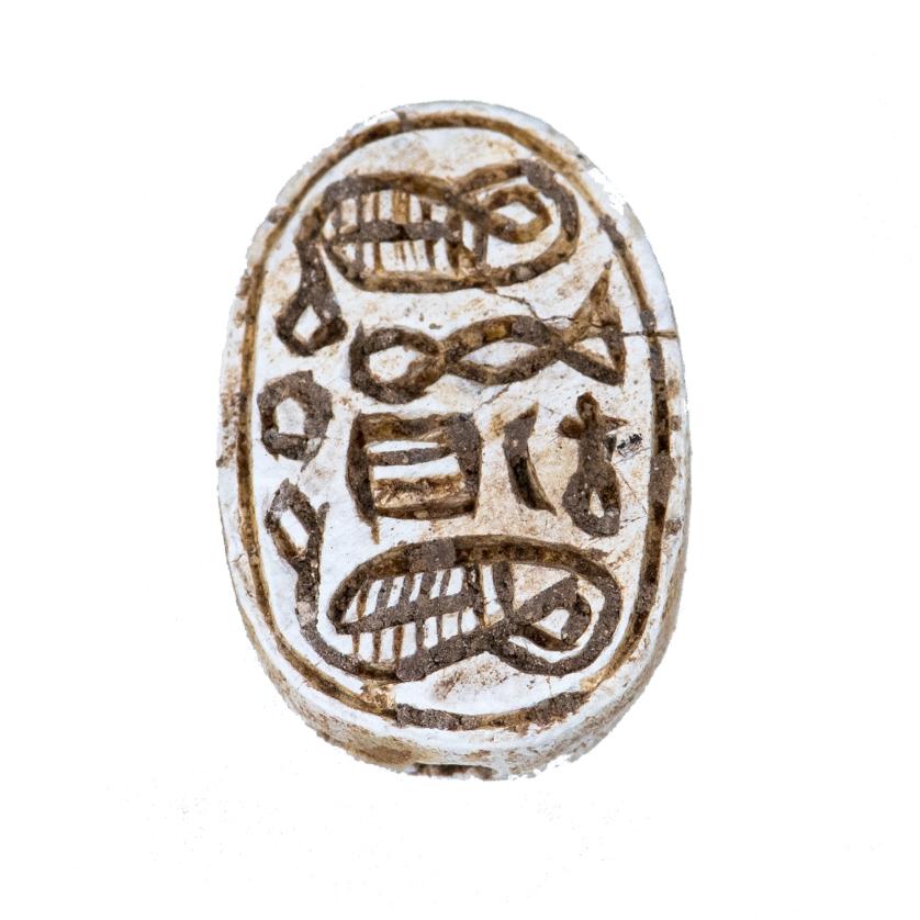 3012   -  ARQUEOLOGÍA. EGIPTO. II Período Intermedio. Escarabeo (1782-1570 a.C.). Fayenza. Altura 1,4 cm. Ex colección Mustaki (Reino Unido;2000).