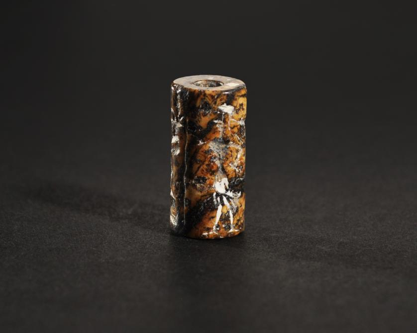 3007   -  ARQUEOLOGÍA