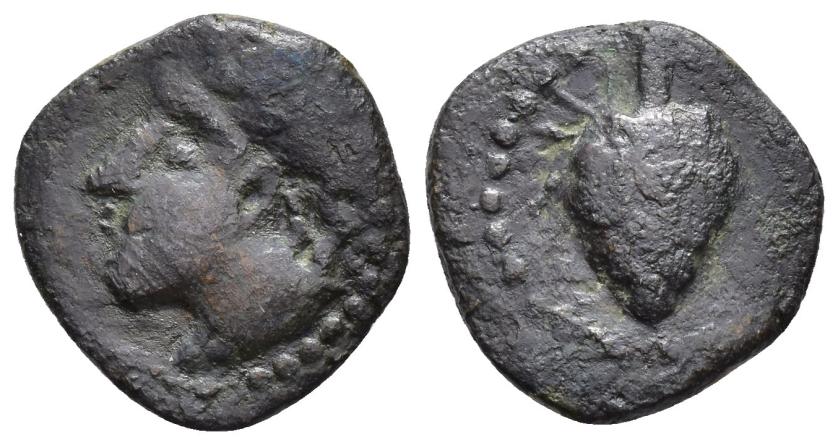 2021   -  HISPANIA ANTIGUA