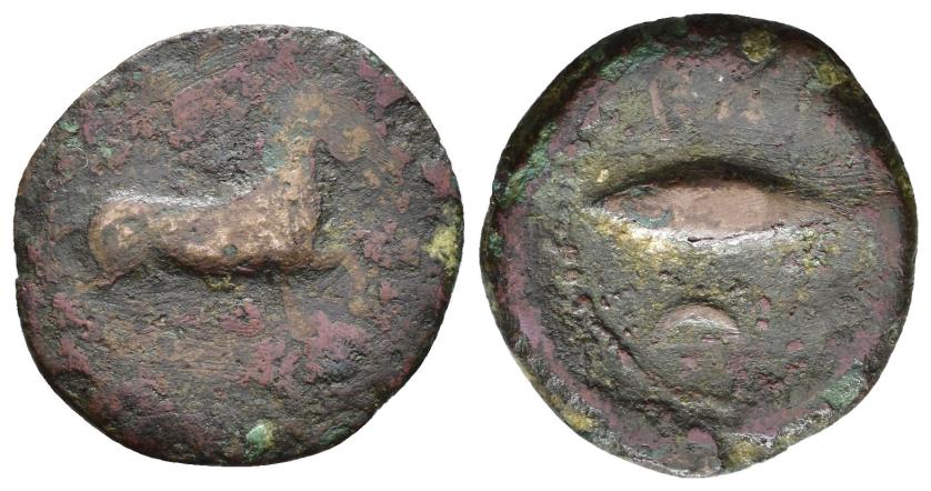 14   -  HISPANIA ANTIGUA