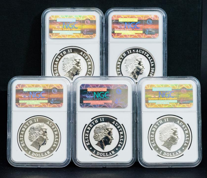 517   -  MONEDA EXTRANJERA