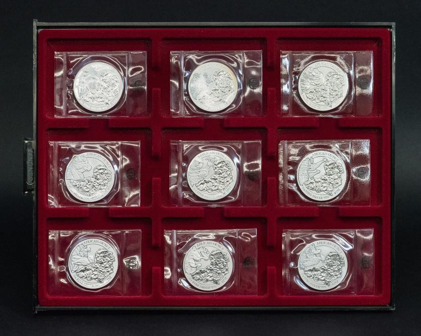 565   -  MONEDA EXTRANJERA