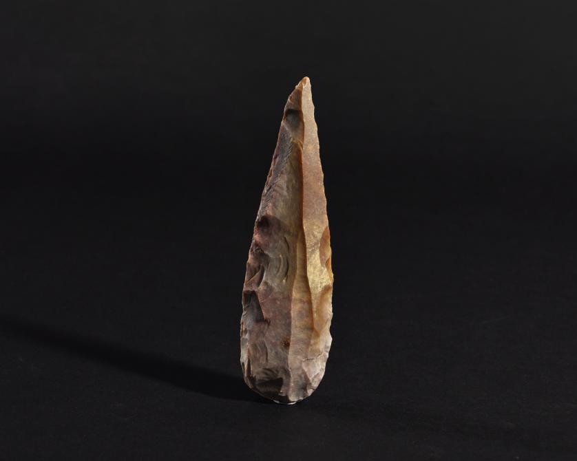 1005   -  ARQUEOLOGÍA