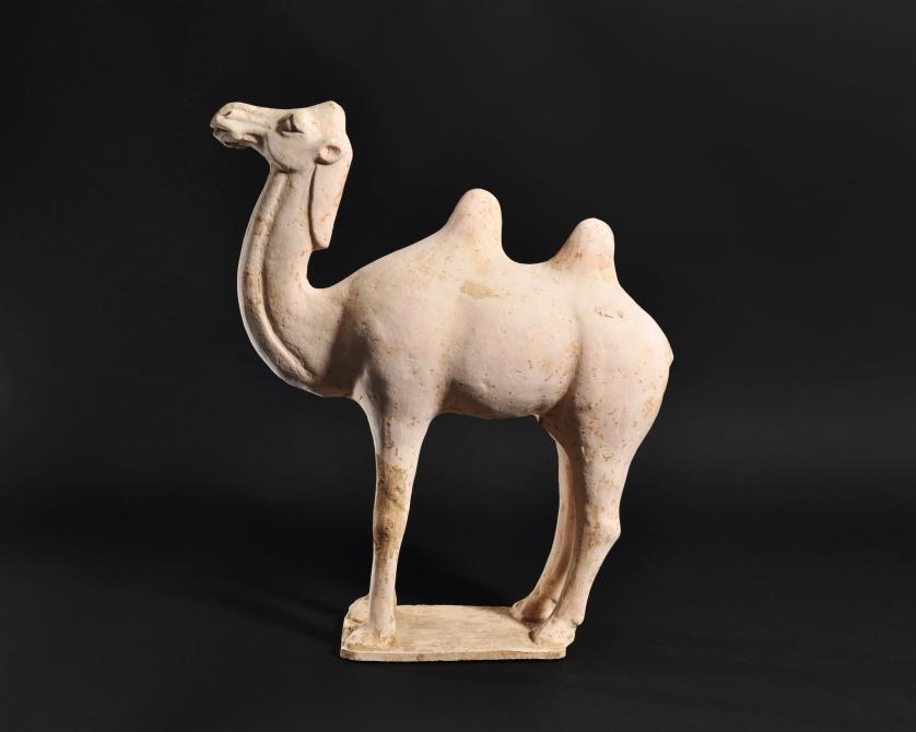 2054   -  ARQUEOLOGÍA