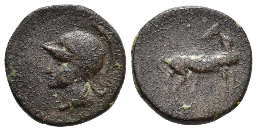 43   -  HISPANIA ANTIGUA