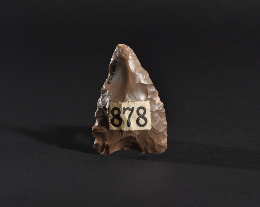 646   -  ARQUEOLOGÍA